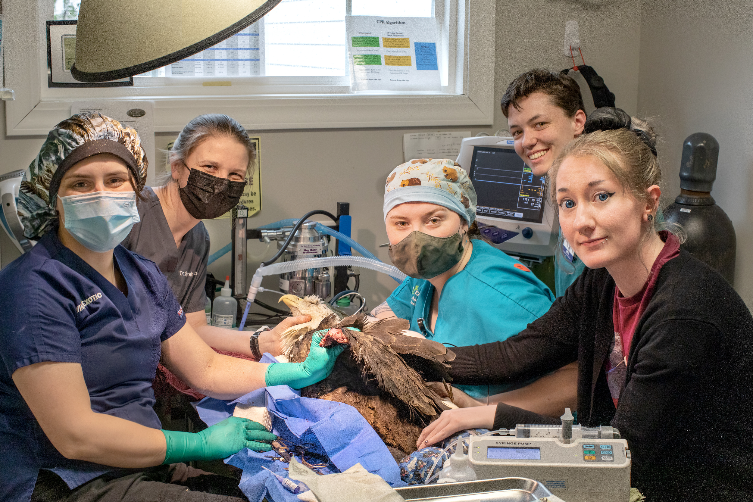 Screenshot 2024-11-01 at 10.04.54 AM.png