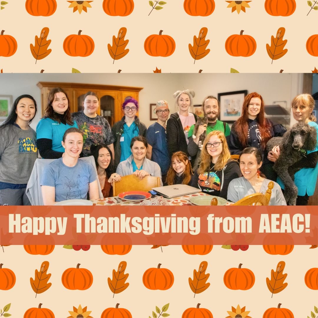 Happy Thanksgiving! We will be closed today and tomorrow to celebrate the holiday, but as always, if you have an emergency with your pet that can&rsquo;t wait till we reopen, we have staff on call! 🥧🦎 #exoticvetclinic #exoticvetmed