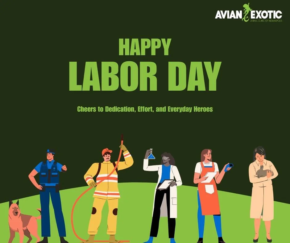 Happy Labor Day! We are closed for the holiday, but if you have an emergency with your pet that can&rsquo;t wait till we reopen tomorrow, please call Veterinary Emergency Group (VEG) at (463) 260-0014. VEG can treat exotic patients on emergency and c