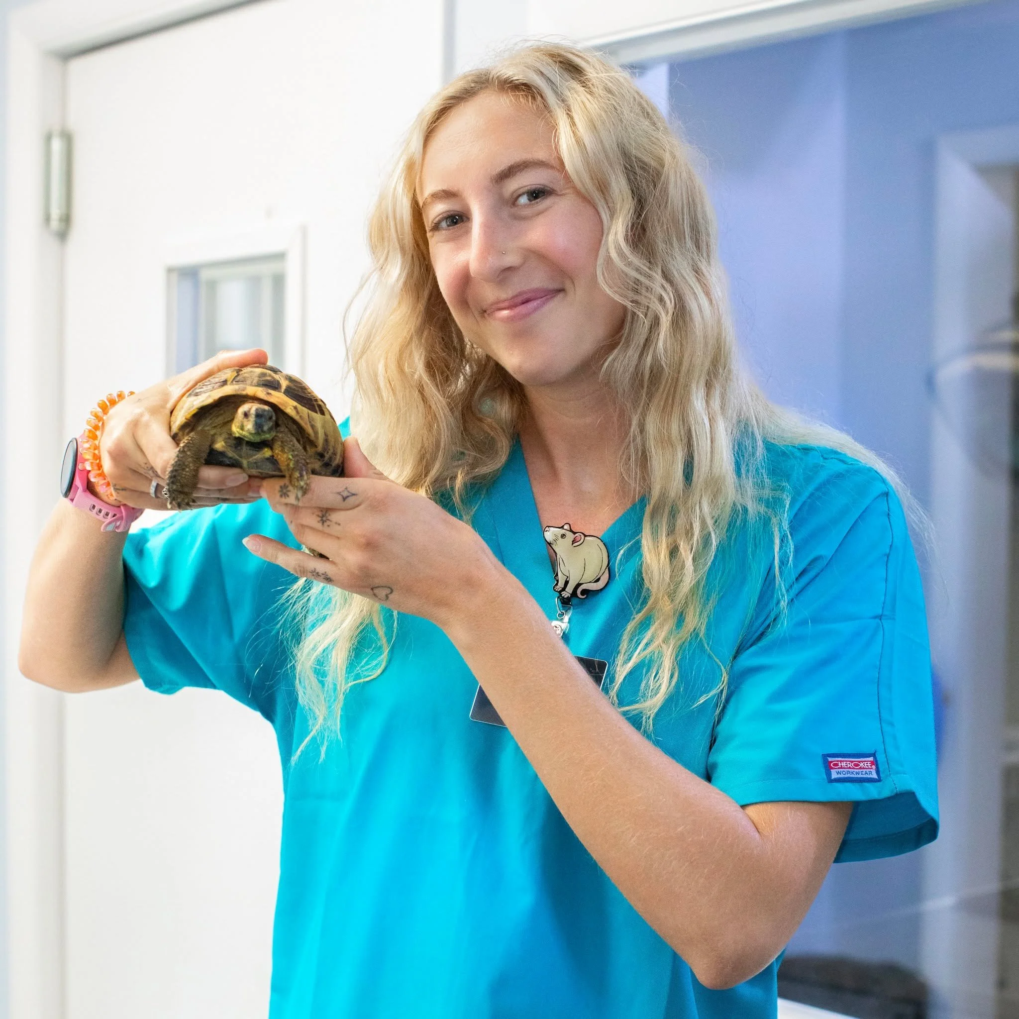 It's that time of the year when we welcome some new faces to our doctor team! 😊
Today, we would like to introduce Dr. Trowbridge, who has joined us as an Exotic Companion Mammal resident! Her love for exotic medicine grew at Ross University, where s