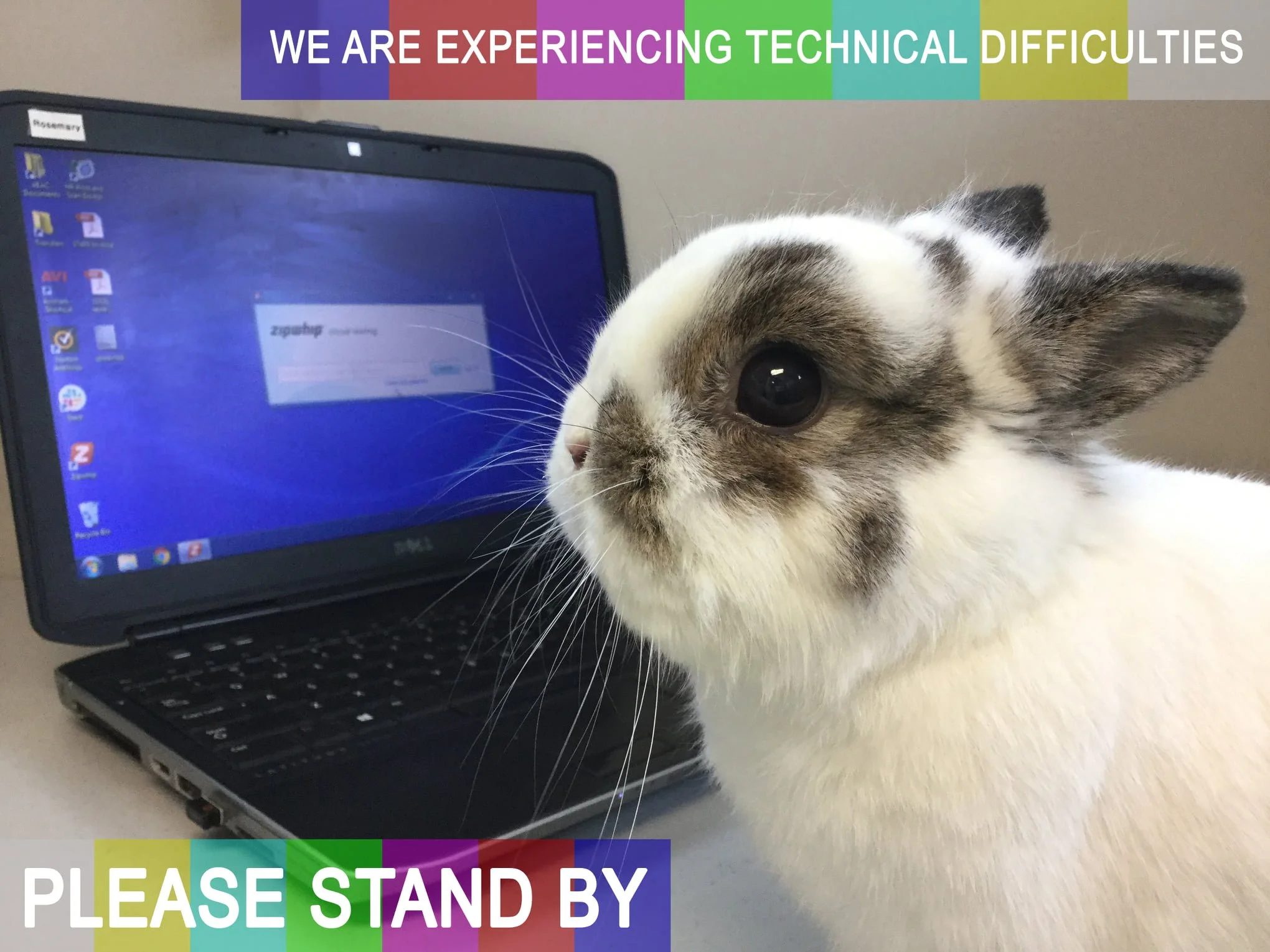 Unfortunately, we are being met again with technical difficulties! The internet is out in our area which means our text system and phones may be touch and go. We're working hard on being available via hotspots, but please be patient with us!