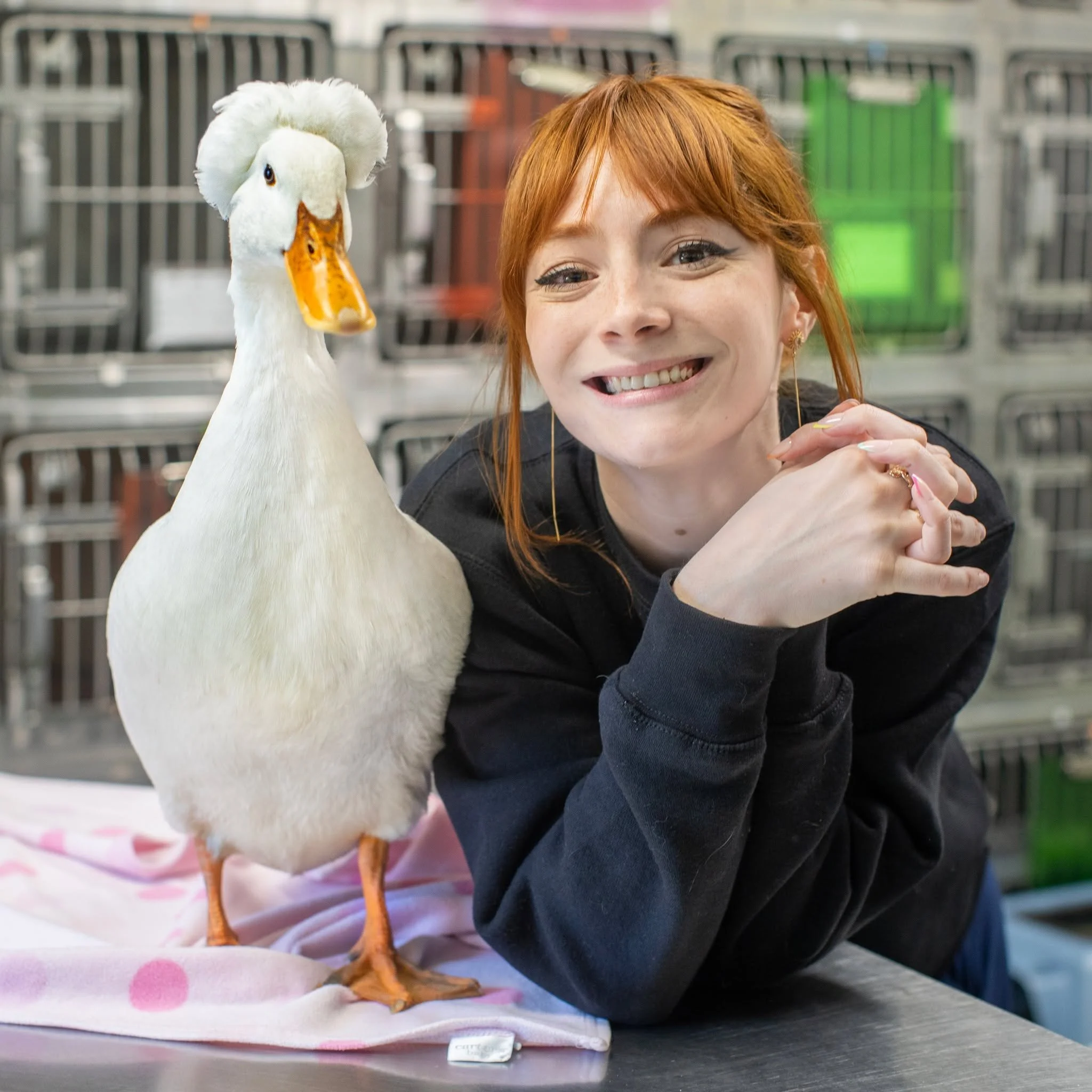 For our second nurse of the day, we'd like to introduce Morgan! 🌟Please take a moment to thank them in the comments for everything they do for our patients and our team! ❤

➡Favorite part of the job: Something I love most about this job is how versa