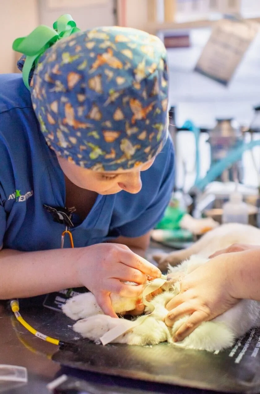 We have two final nurses today to celebrate! Introducing, Eliana! 🌟Please take a moment to thank her in the comments for everything she does for our patients and our team! ❤

➡Favorite part of the job: Anesthesia and intensive care- both form specia