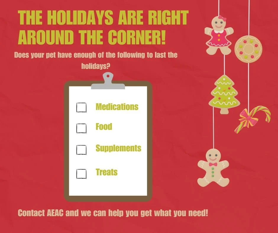 With the holidays quickly approaching, now is the perfect time to make sure your pets have everything they need! 
Please double check your supply of medications, food, supplements, and even treats to ensure you&rsquo;re fully stocked for the season, 