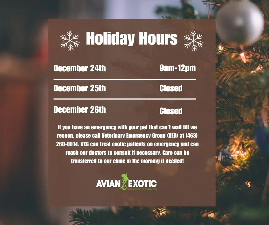 With Christmas only a week away, now is the perfect time to look over our holiday hours and ensure your pet has plenty of medication, food, and treats for the week ahead! 🎄🦎 #exoticvetclinic #exoticvetmed