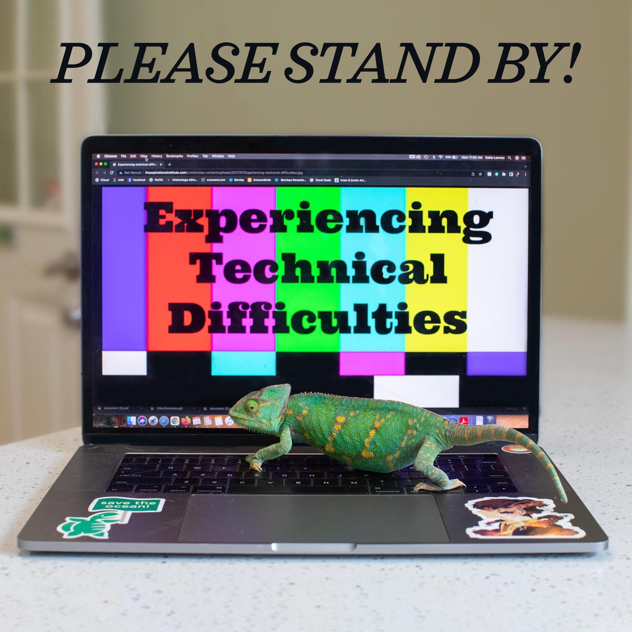 Technical difficulties chameleon here to let everyone know that our internet has been extremely spotty for the past few days. Because of this our texting and phone services have been having issues running efficiently. We have been working very hard w