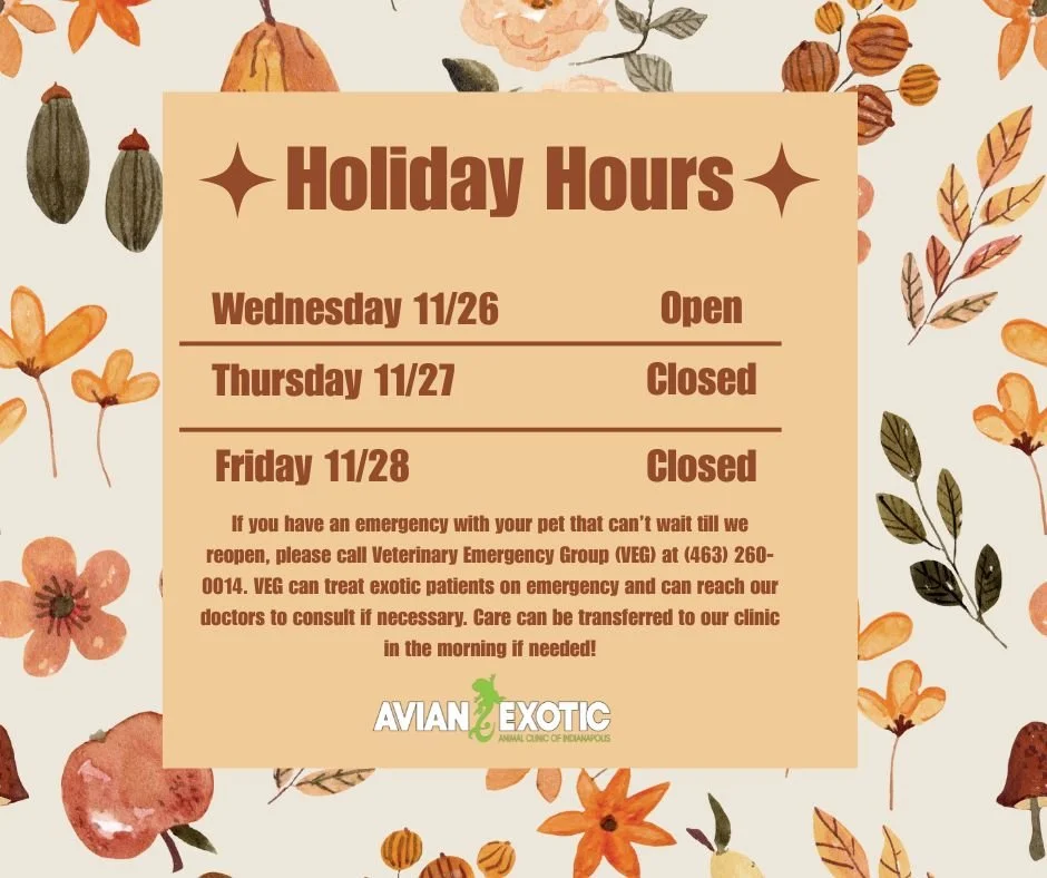 Please note our upcoming holiday hours. We hope you all have a wonderful holiday! 
#exoticvetclinic #exoticvetmed 🦎