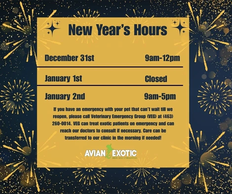 Please note our upcoming holiday hours. We hope you all have a safe and wonderful New Year! 🎉🍾🦎 #exoticvetclinic #exoticvetmed