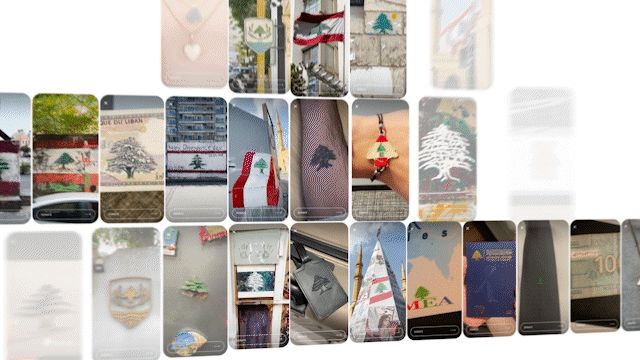 2023_02_13_GREENPEACE_DONATE_TO_AN_ARZE_ONLINE_MIX_AdobeExpress (1).gif