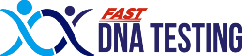 logo png.png