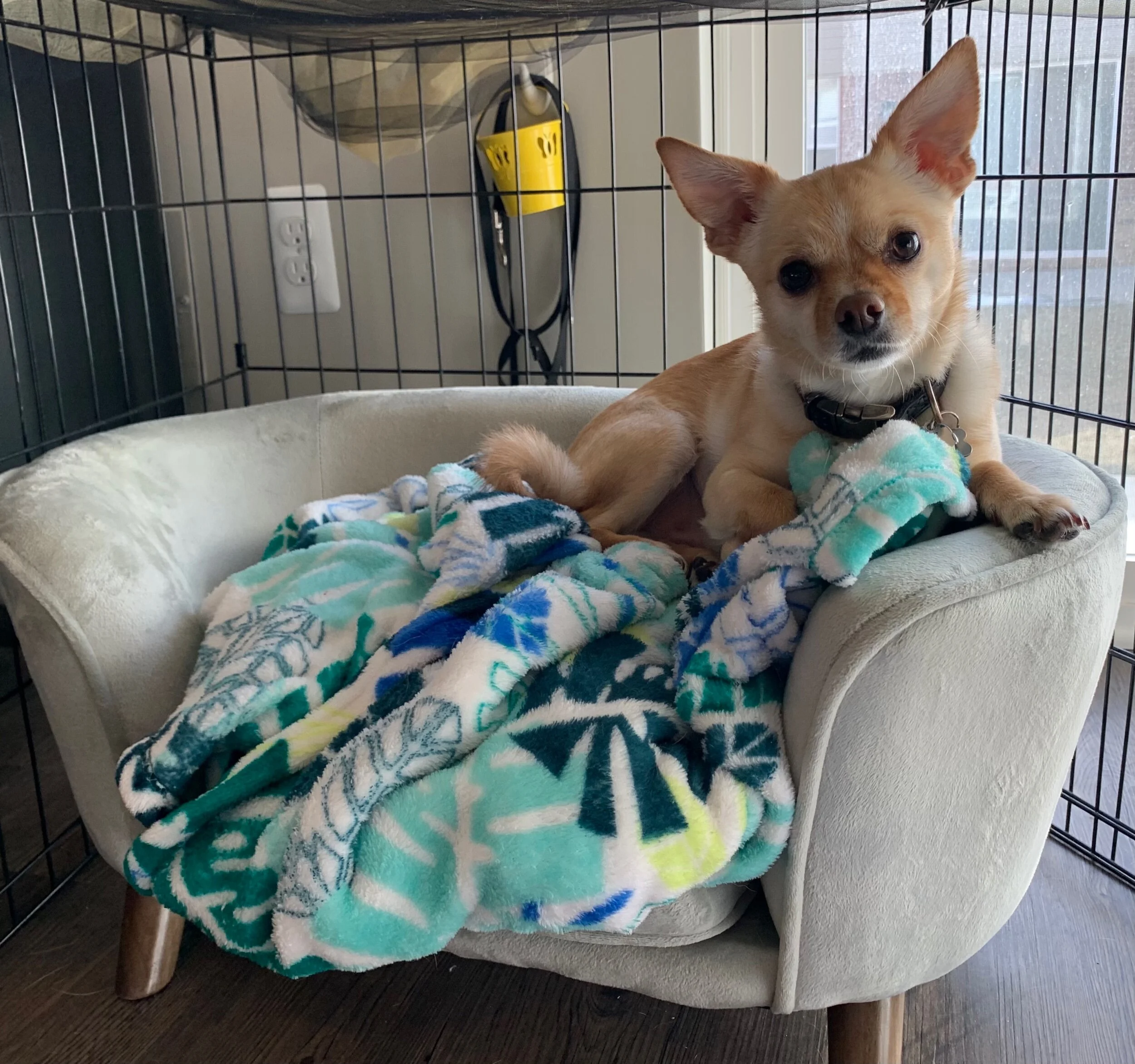 Jorah Borkmont, Part 1 (009)