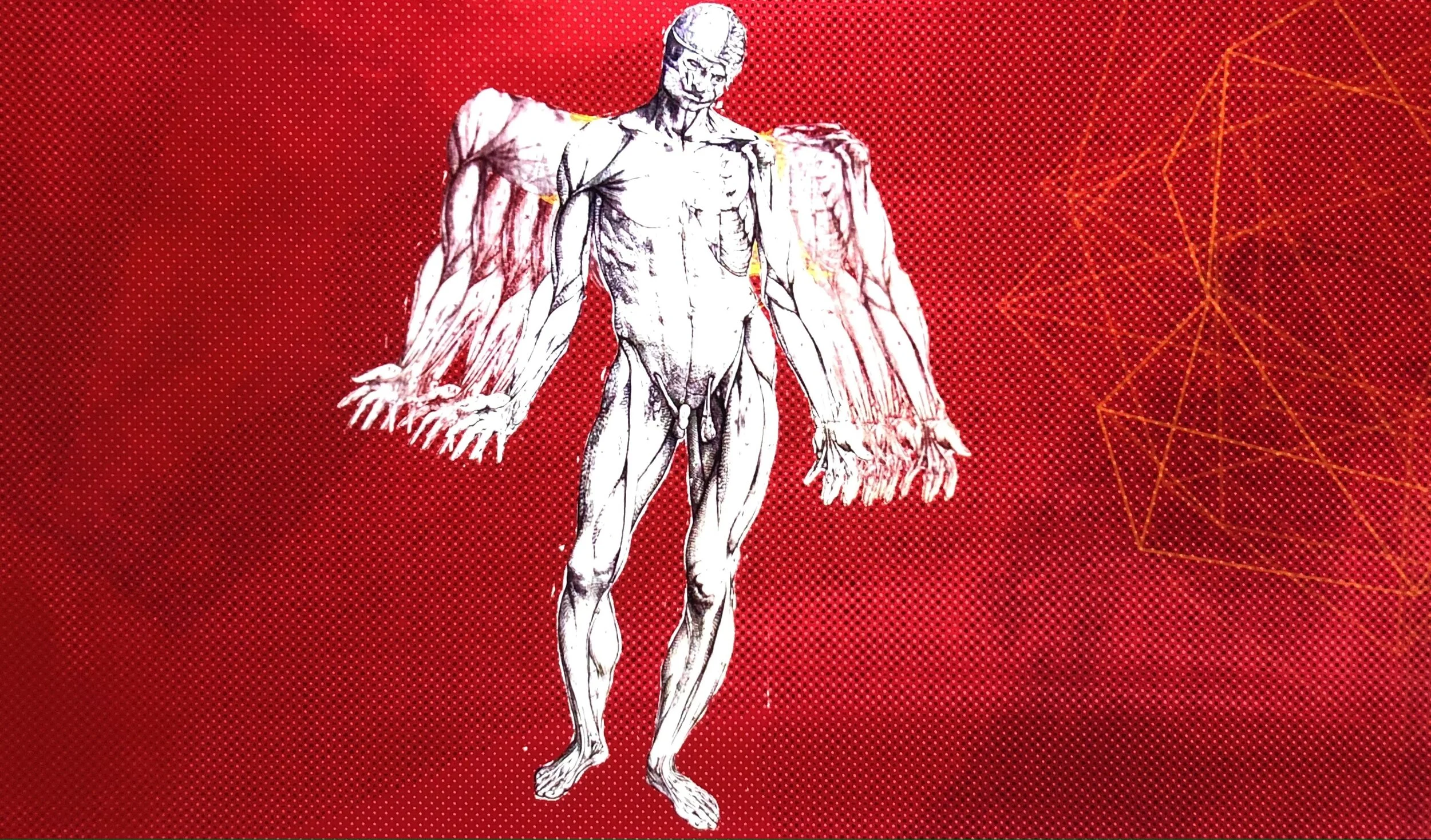 Pat Byrne - Just a Venial Sin (Copy) (Copy) (Copy)