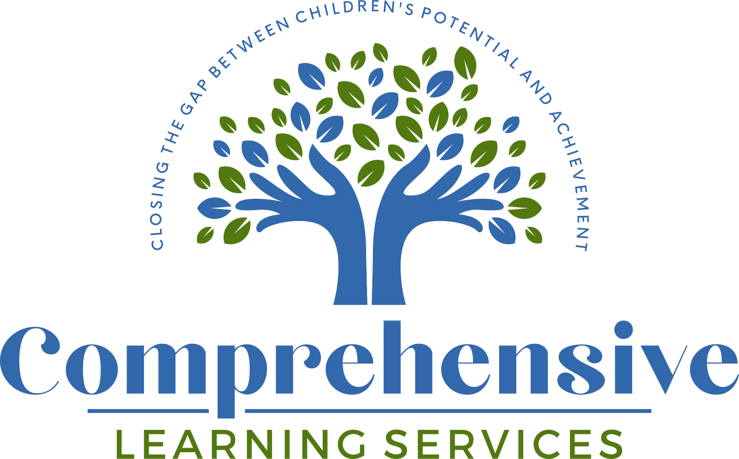 Comprehensive Learning Services