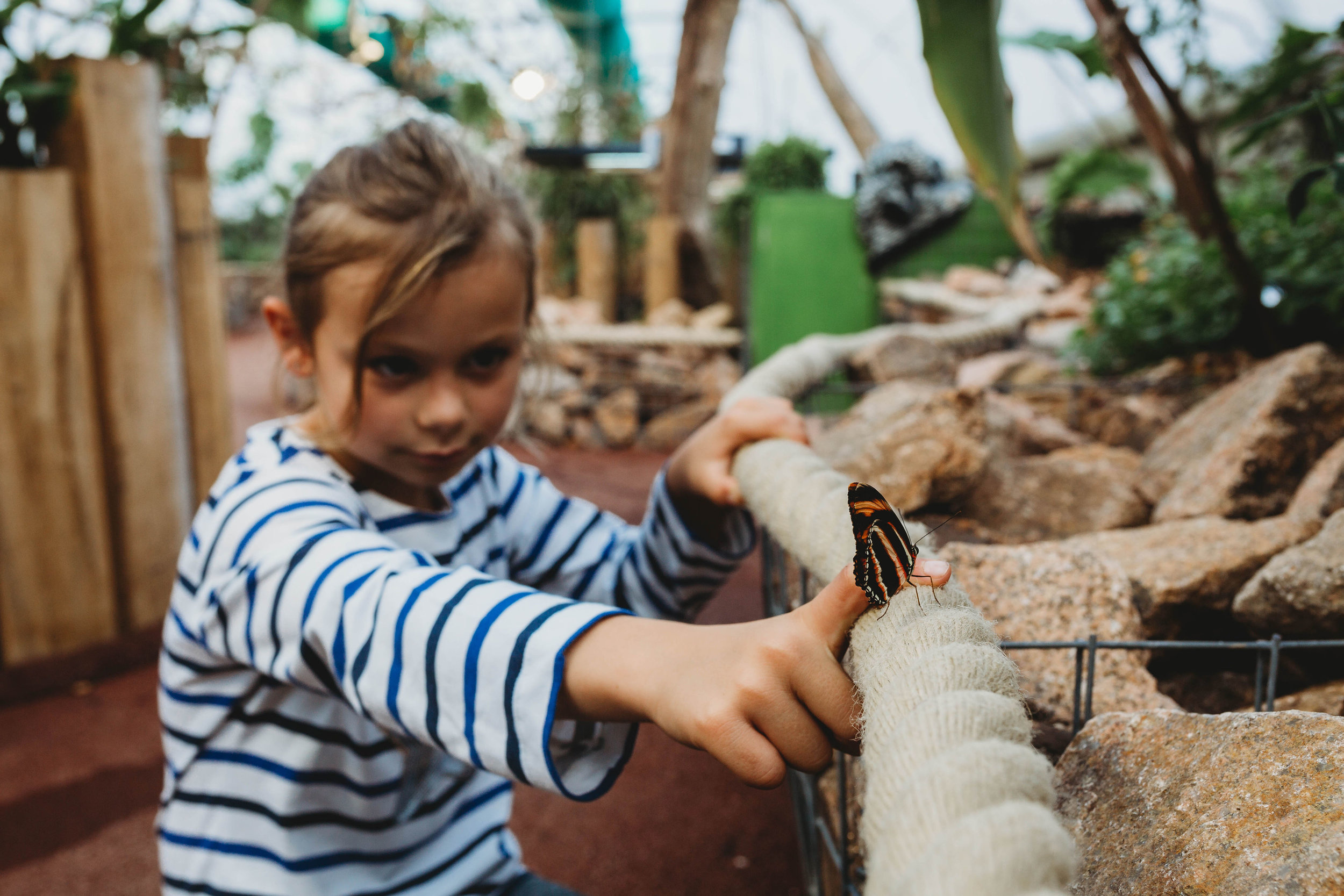 Butterfly House 28 - credit White Saige Photography.jpg