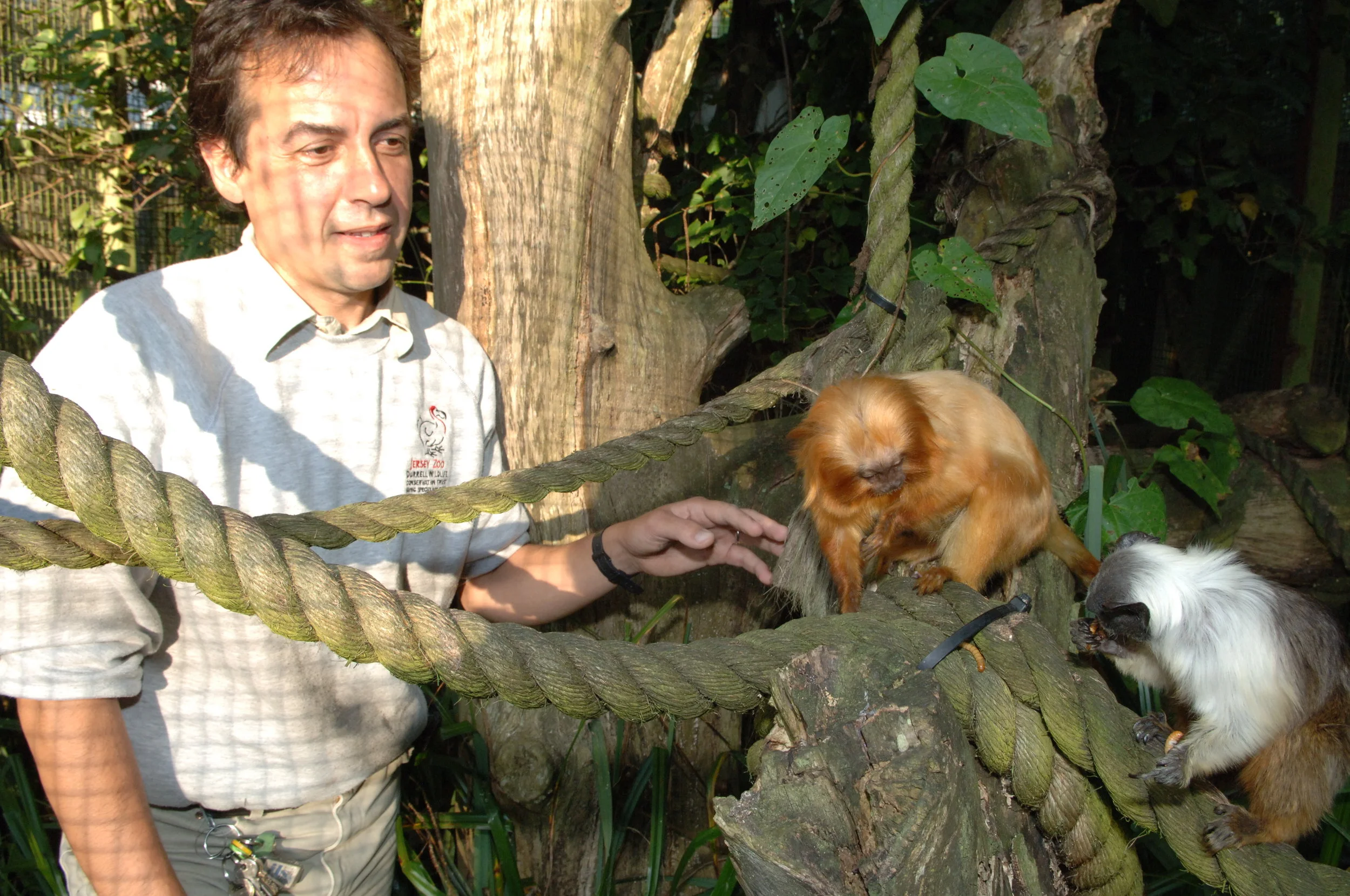 Jersey Zoo staff Dom Wormell.JPG