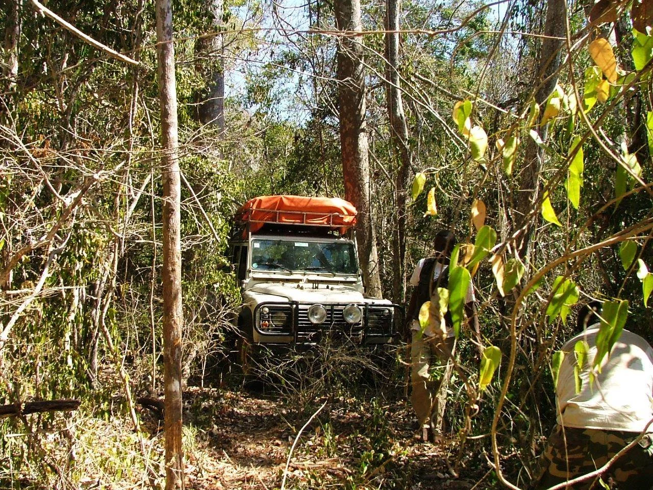20B field program in Madagascar.jpg