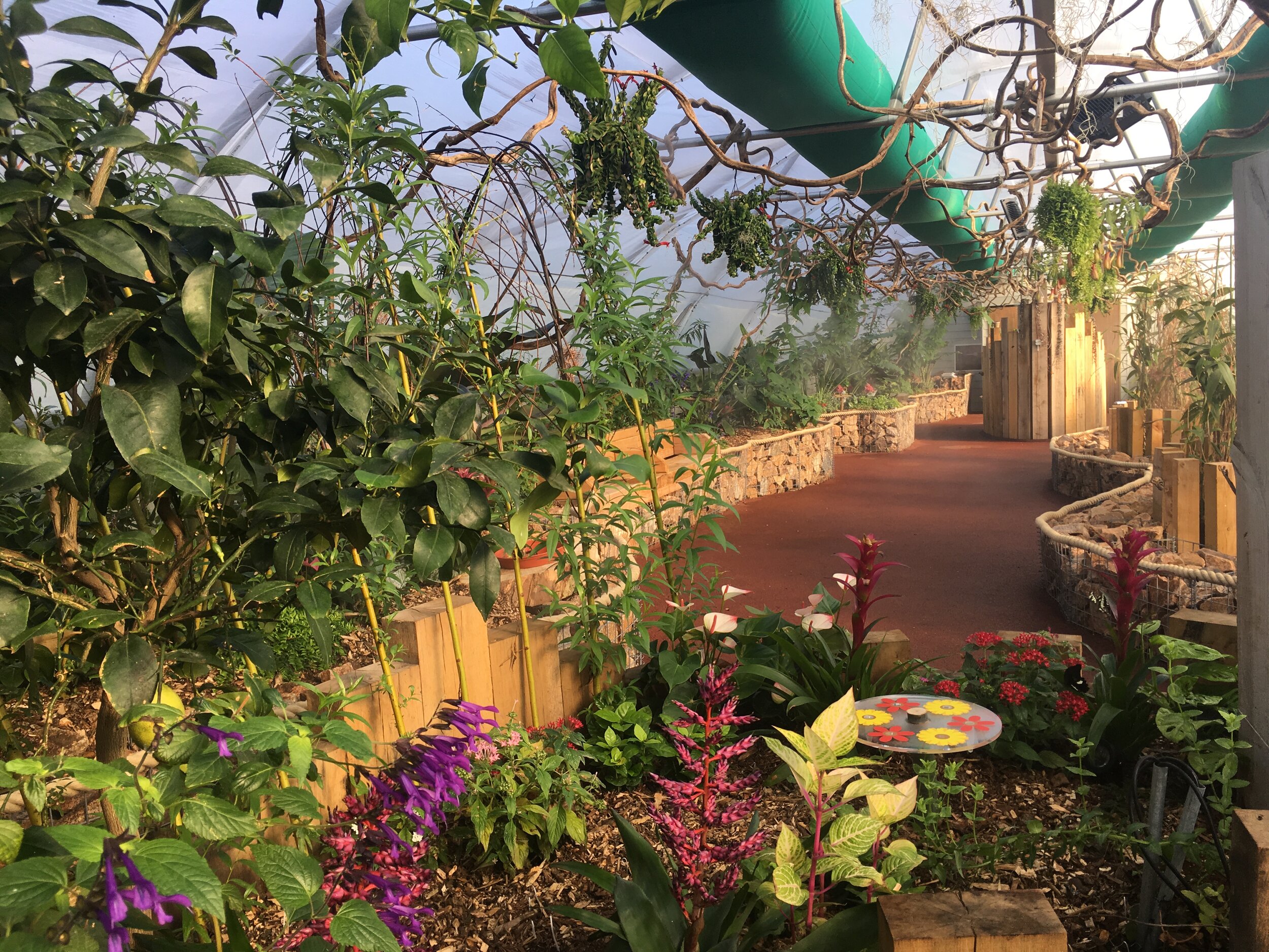 D Butterfly house internal 2.JPG