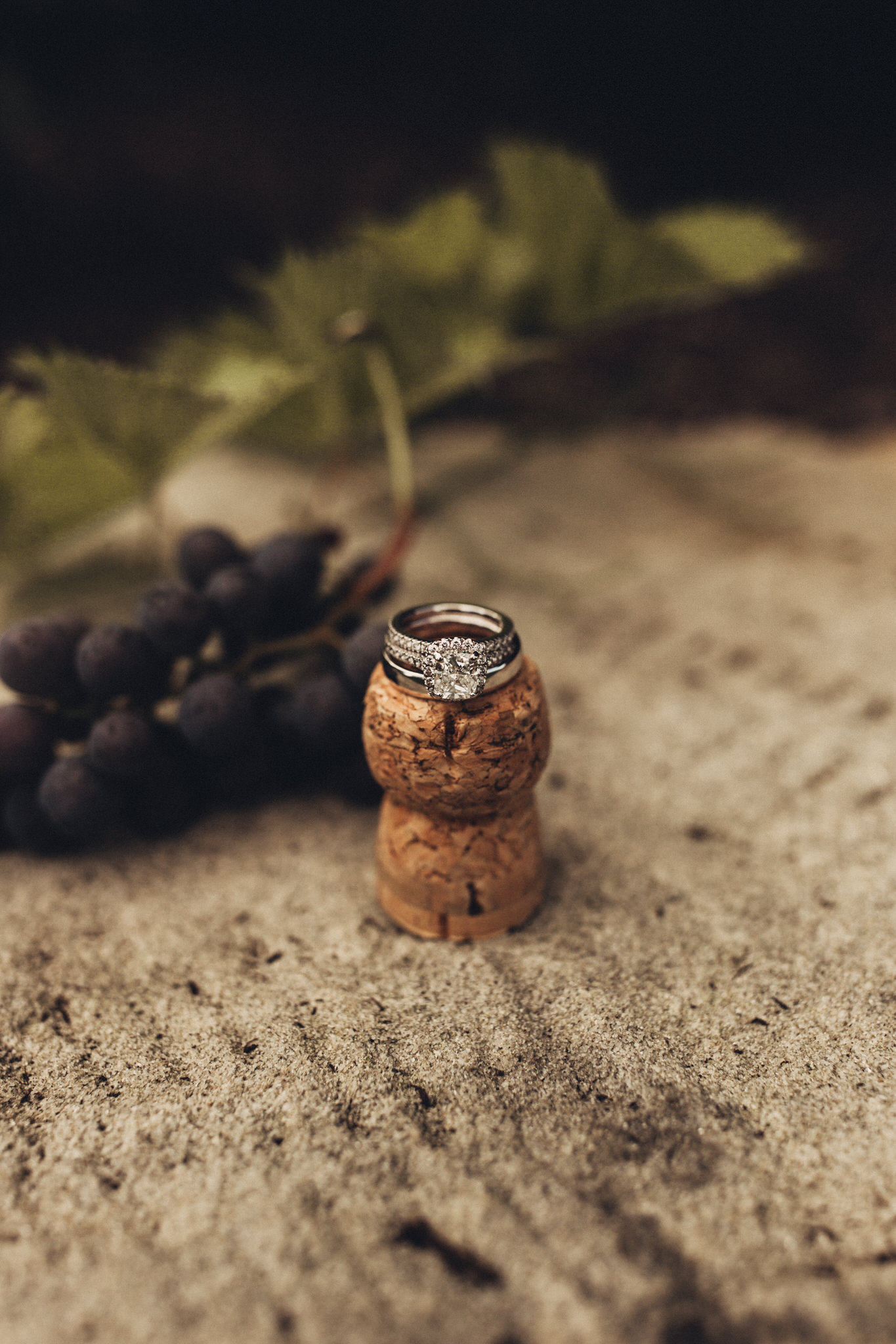 Gervasi_Wedding_Anna+Patrick-68.jpg