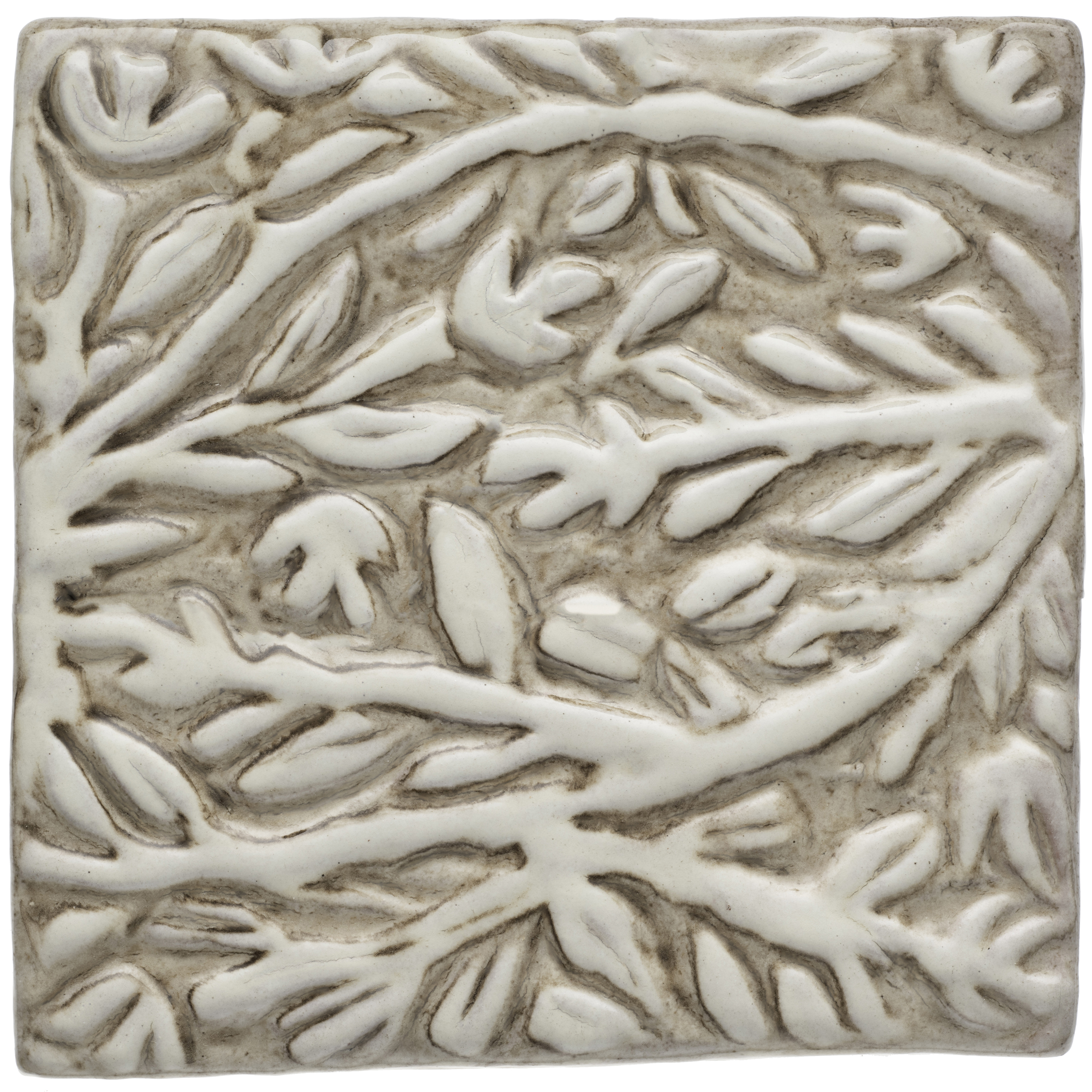 A03-Branches 6x6