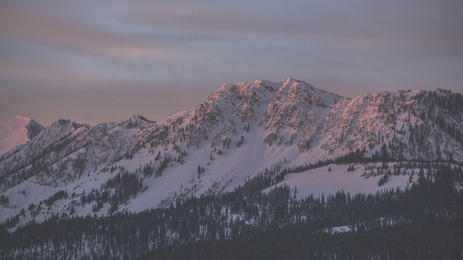 Pledge-Donation-Photo-Bozeman.jpg