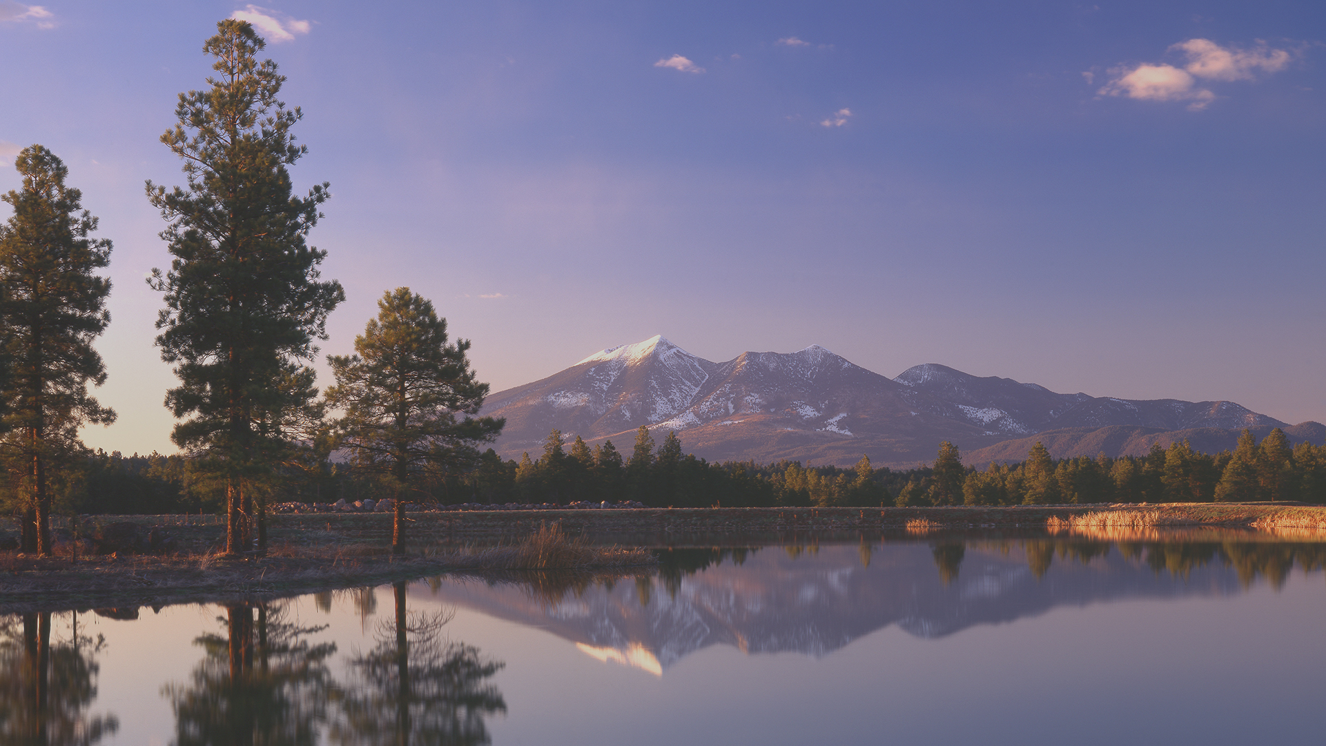 Pledge-Wild-Flagstaff-DONATE-Web-2.jpg
