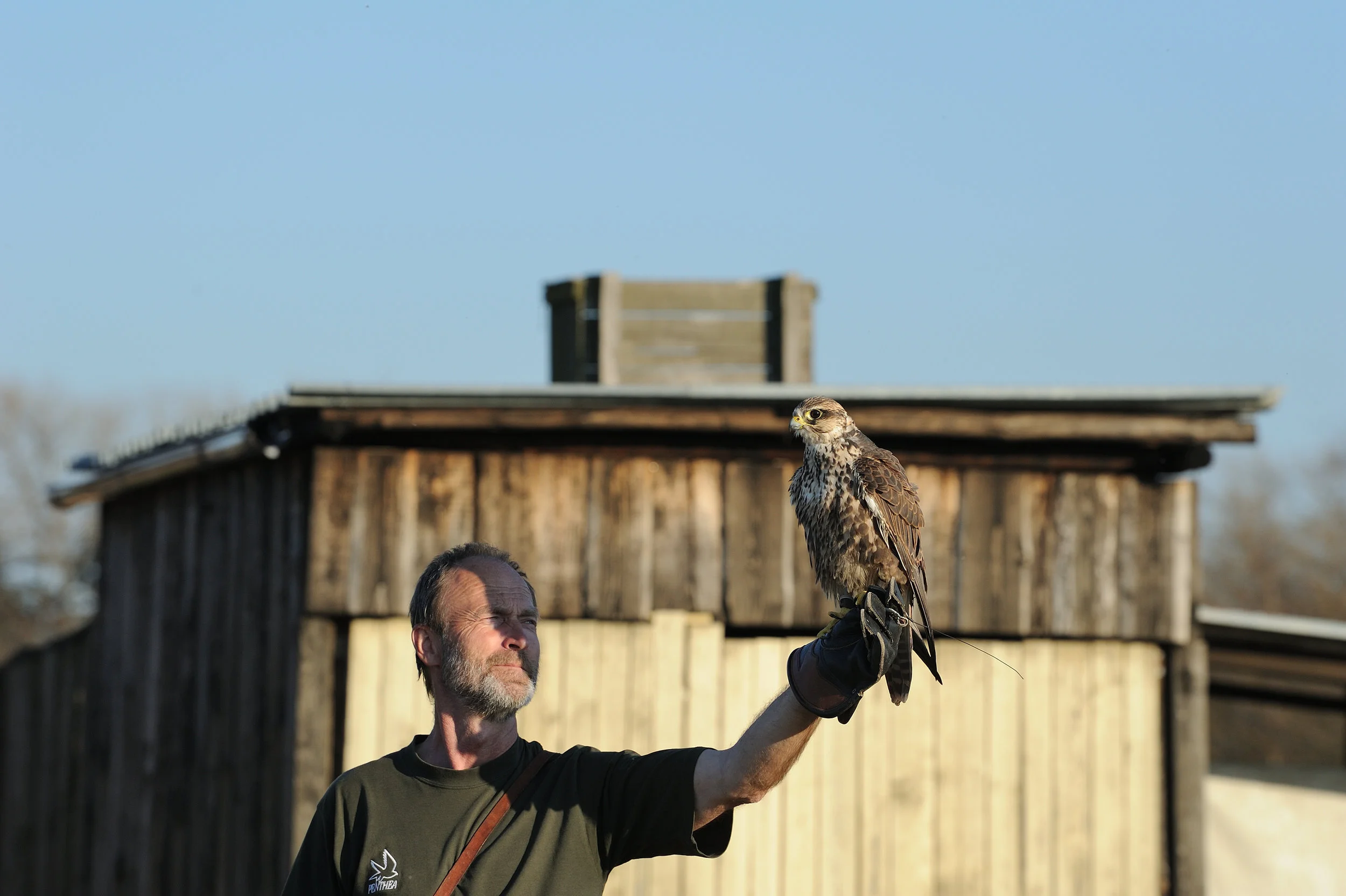 Napsali o nás: Redaktorka Lidových novin popsala, co obnáší sokolnický výcvik dravců