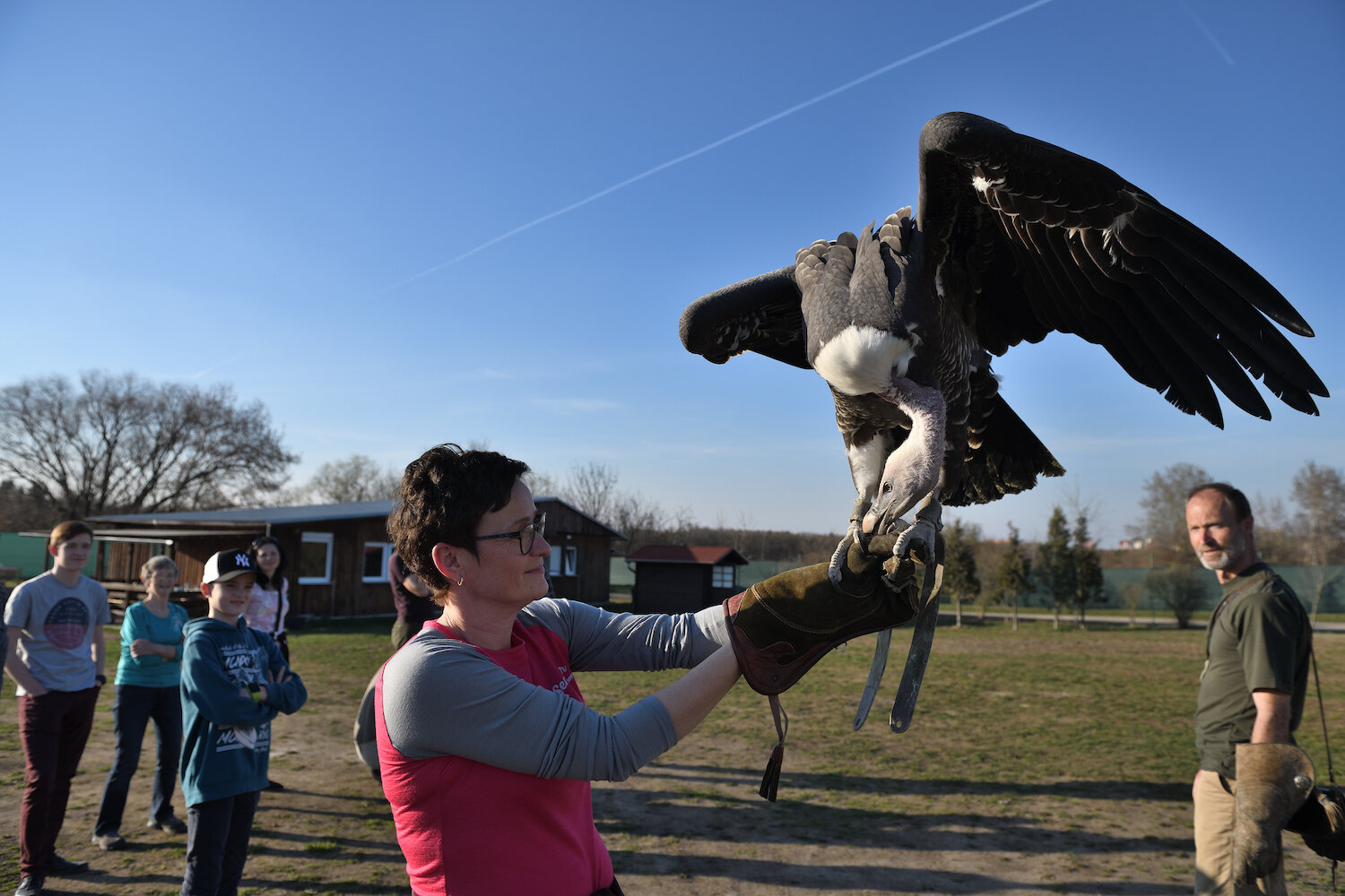 DSC_2888.JPG