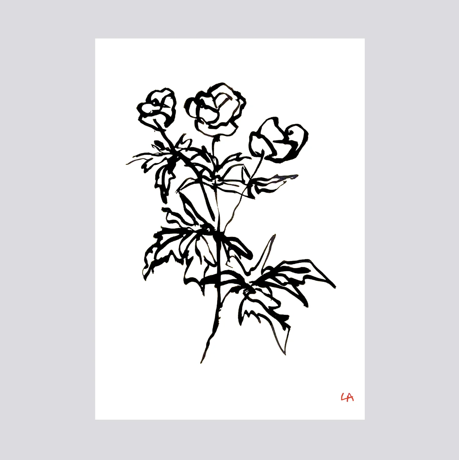 wilflower1.jpg