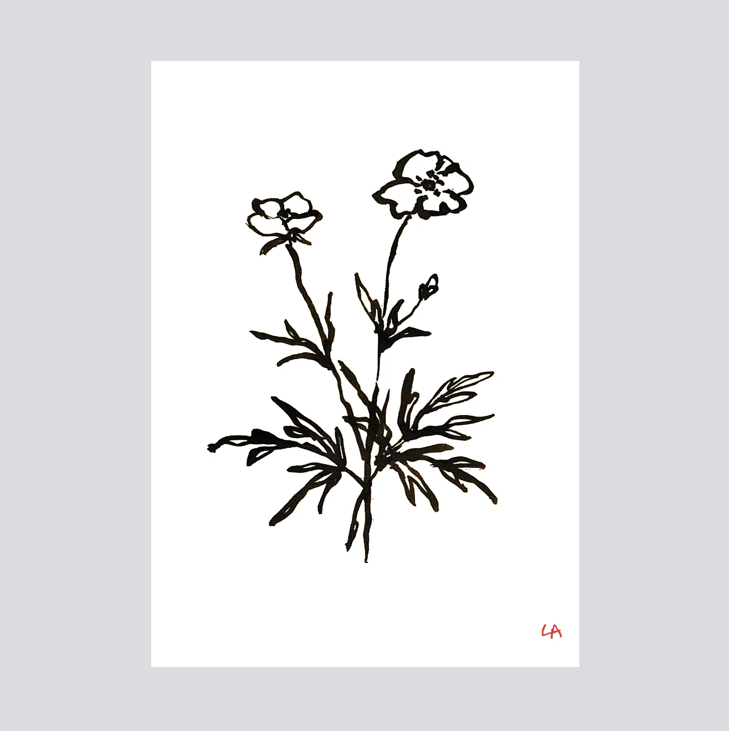 wildflower2.jpg