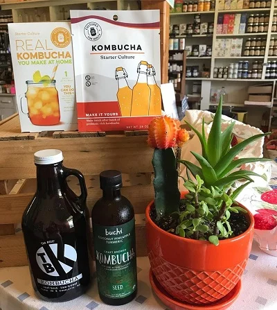 Kombucha.jpg