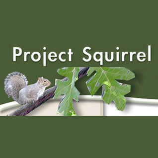 project-squirrel-sm.png