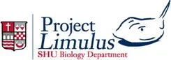 limulus.jpg