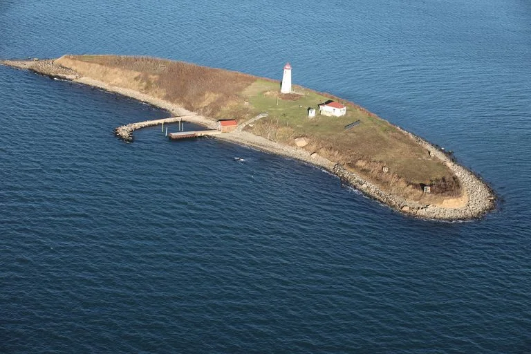 Stewart_B._McKinney_National_Wildlife_Refuge-Falkner_Island_CT-768x512.jpg