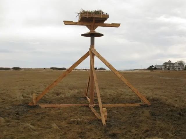 Osprey-Platform.jpg