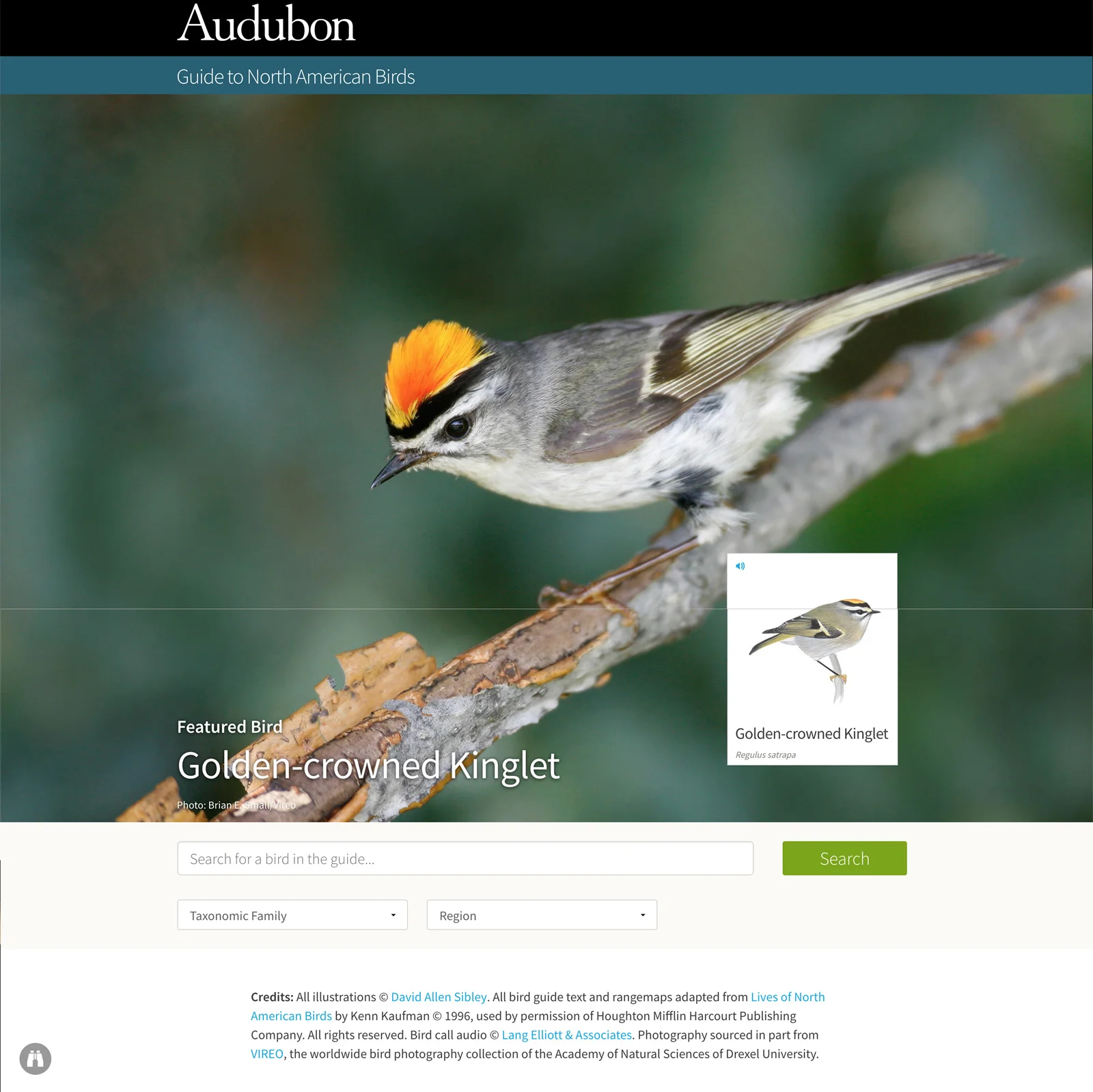 Audubonweguide.jpg
