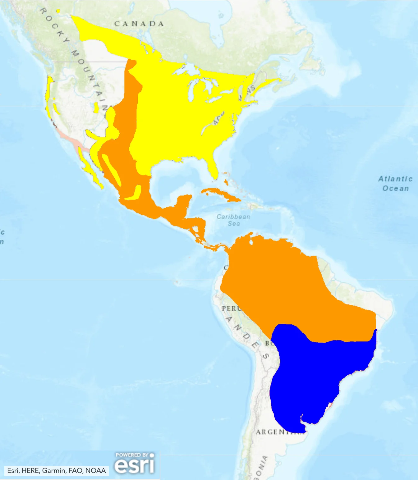 BirdLife International 2016. Progne subis. The IUCN Red List of Threatened Species 2016: e.T22712098A94319217. http://dx.doi.org/10.2305/IUCN.UK.2016-3.RLTS.T22712098A94319217.en . Downloaded on 27 May 2019.
