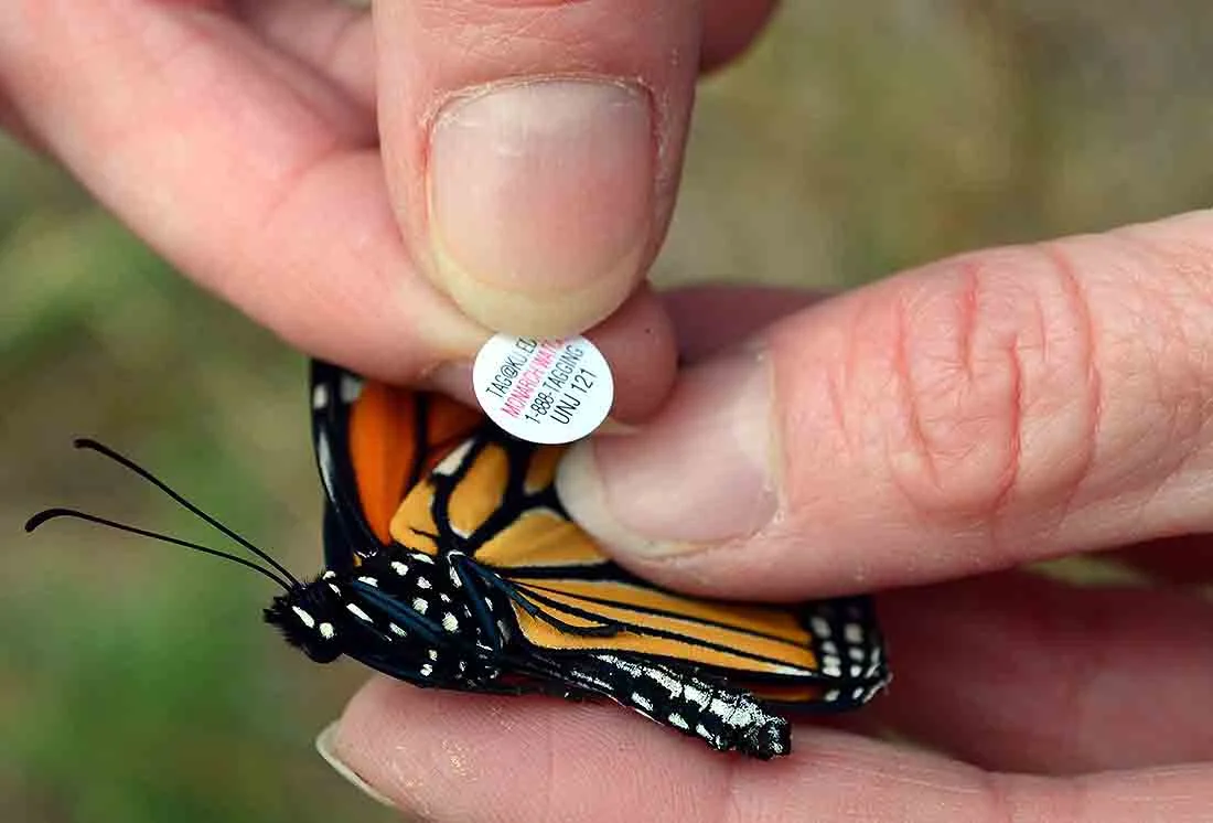 USFWS