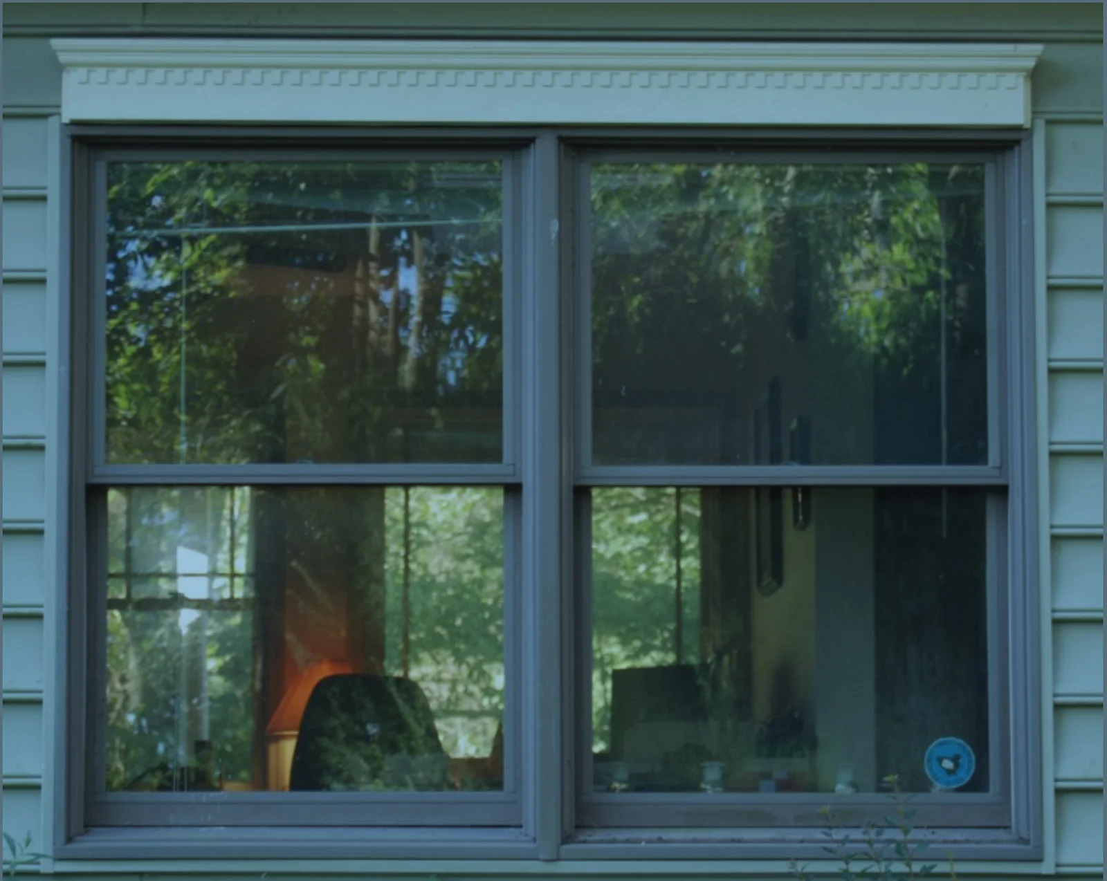 Making your Windows Safer for Birds — Menunkatuck Audubon Society