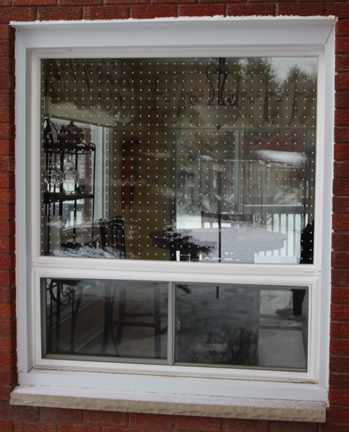 Making your Windows Safer for Birds — Menunkatuck Audubon Society