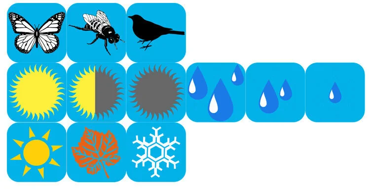 snowberry-icon.jpg