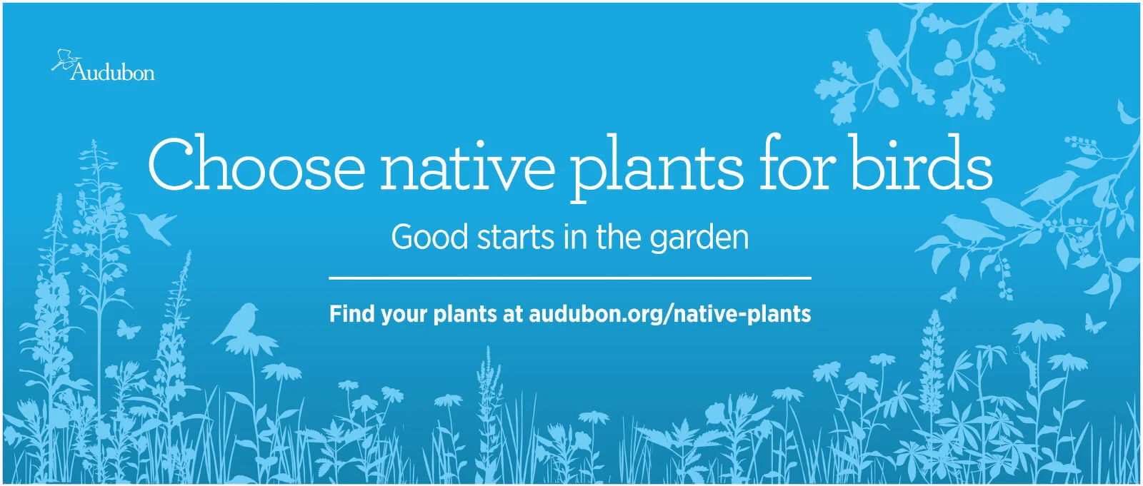 Plants_for_Birds.jpg