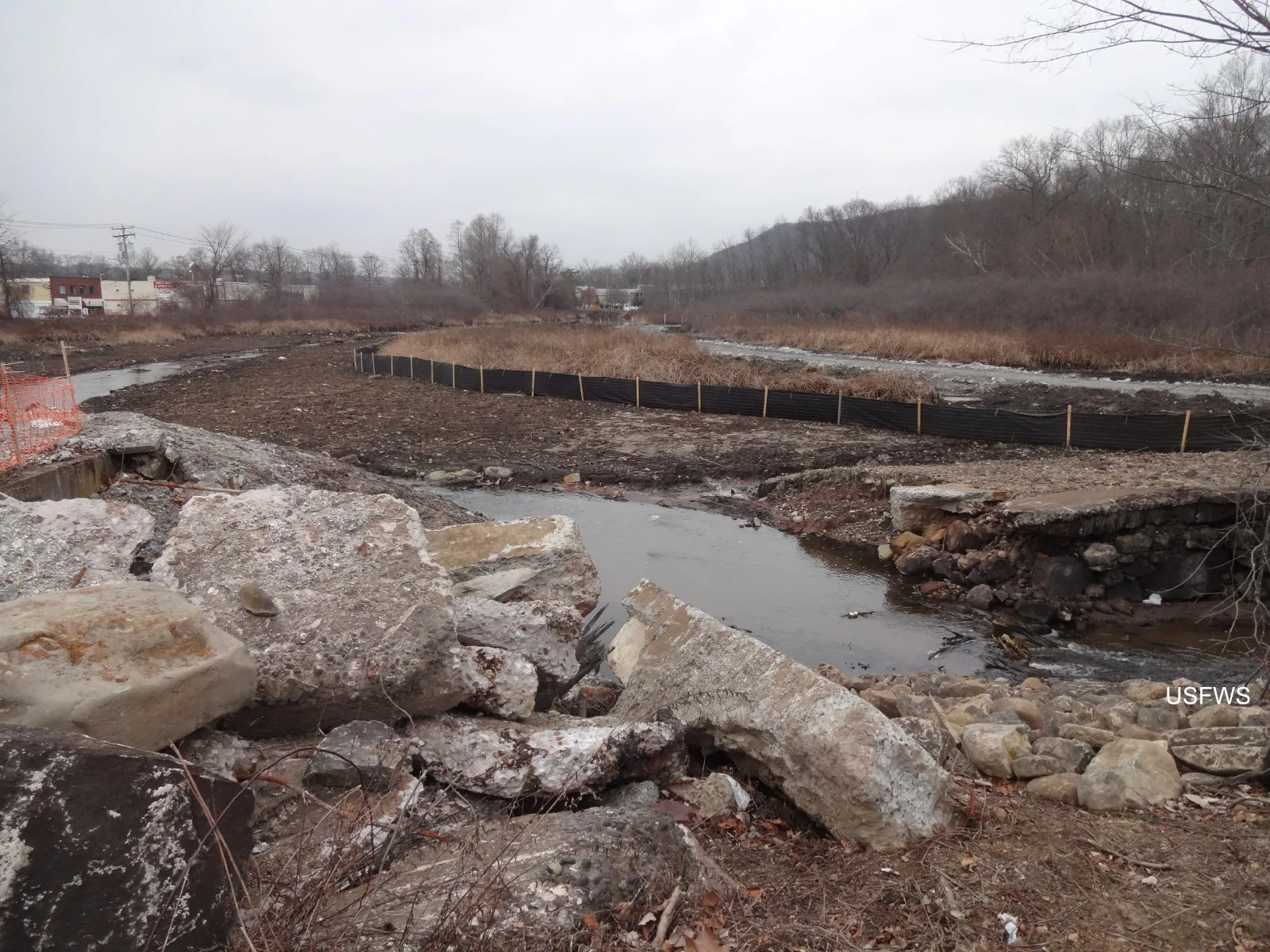 Dam Removal and Fish Passage