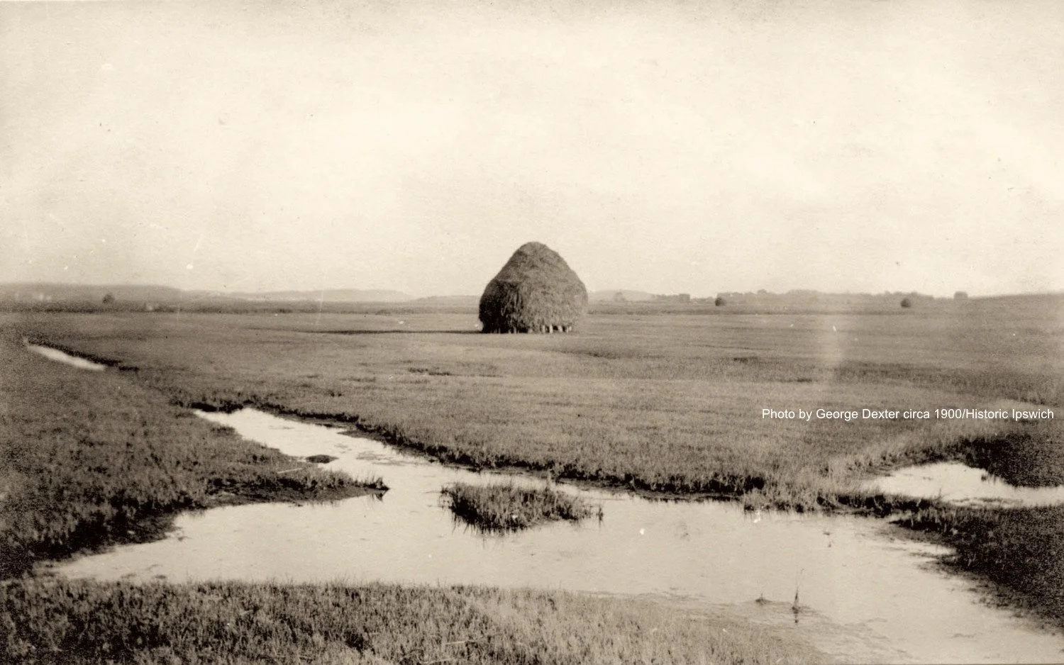 Salt Marsh Haymaking