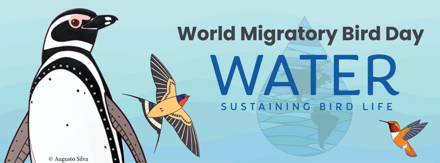World Migratory Bird Day