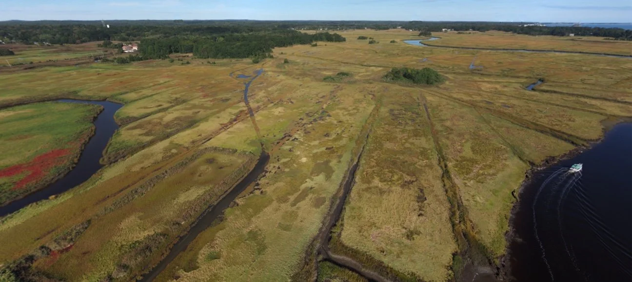 Salt Marsh Restoration