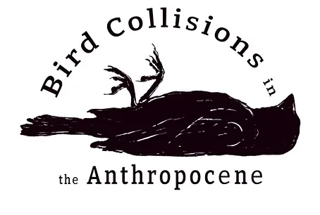 World Migratory Bird Day: Bird Collisions in the Anthropocene