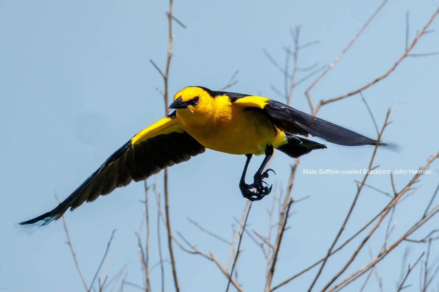 Visiting Argentina’s Pampas and Atlantic Forest