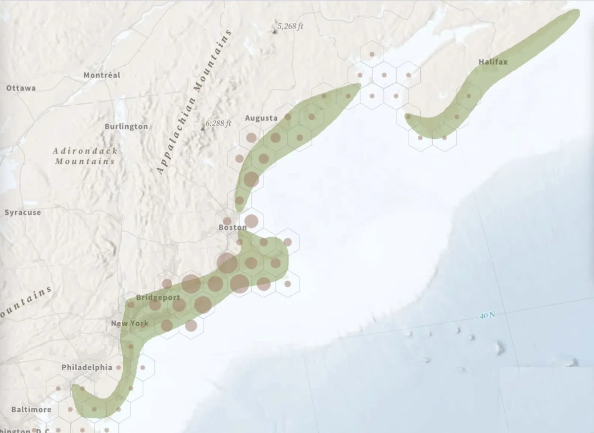 The Critical Importance Of Staging Areas At Cape Cod National Seashore