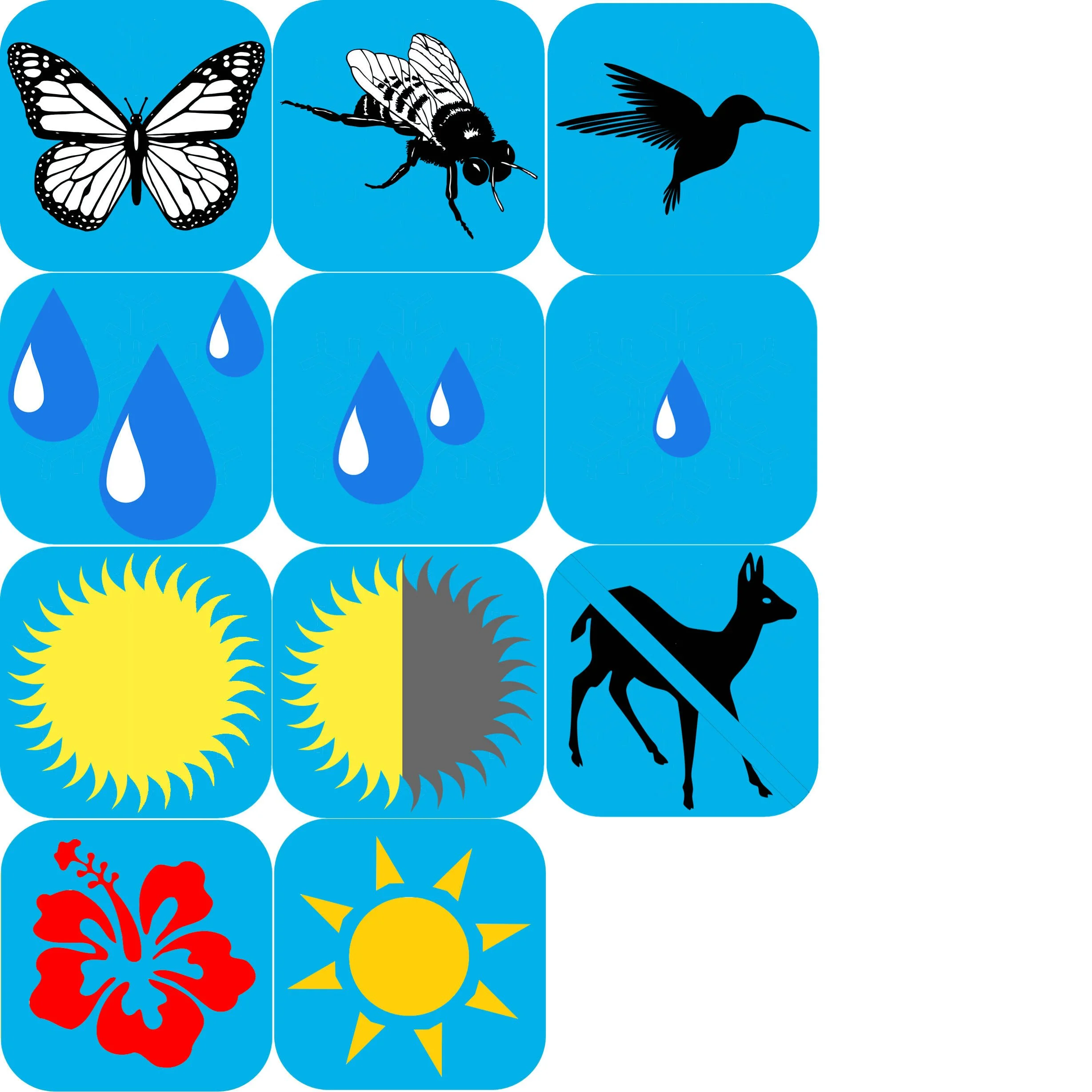 Monarda bradburiana.jpg