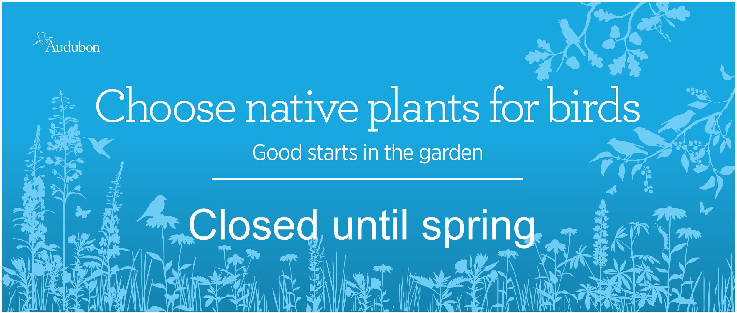 Plants_for_Birds-closed until spring.jpg
